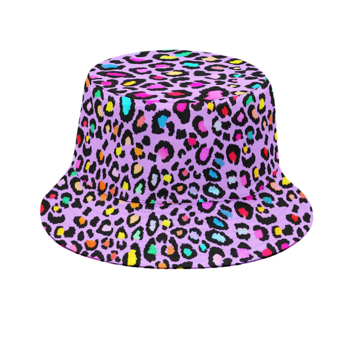 Rainbow Leopard Dream